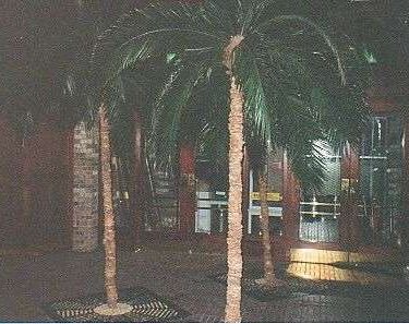inside5.jpg