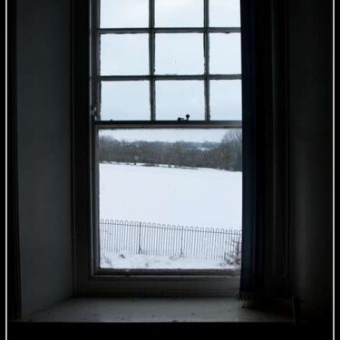 IMG_1341