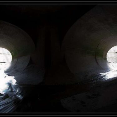 IMG_9498-1