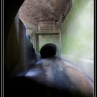 IMG_9502-1