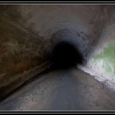 IMG_9524-1