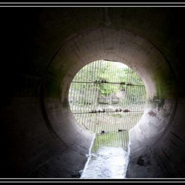 IMG_9526-1
