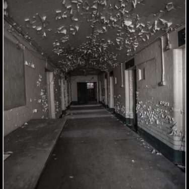 185